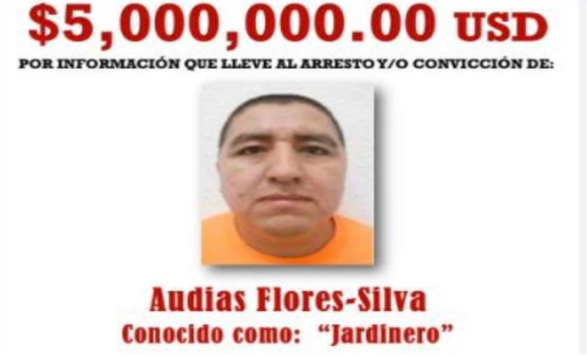 El Jardinero Captured: Major Blow to CJNG
