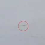 The Loch Ness Mystery Comes to Life: New Evidence of Nessie