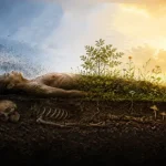 After Death: New Theory on What Happens to the Human Body