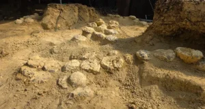 Nearly 100 Dinosaur Eggs Found in France at 72 Million Years Old