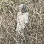 Ghost Appeared in Cemetery Photo – Mysterious Figure Caught in Virginia Image