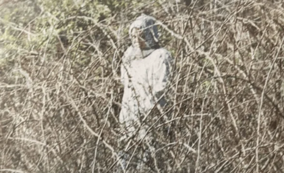 Ghost Appeared in Cemetery Photo – Mysterious Figure Caught in Virginia Image