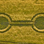 First Mysterious Crop Circle of 2026 Discovered in England