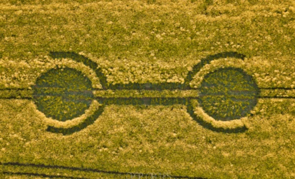 First Mysterious Crop Circle of 2026 Discovered in England