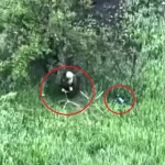 Russian Soldier Tries to Destroy a Drone with a Stick