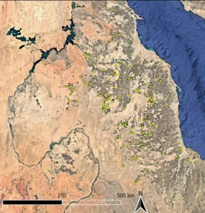 Ancient Sahara Tombs May Be Older Than Egyptian Pyramids
