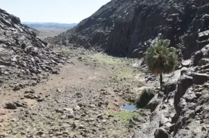 Ancient Sahara Tombs May Be Older Than Egyptian Pyramids