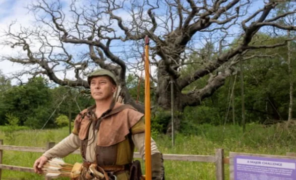 Legendary Robin Hood Oak Dies After 1,200 Years