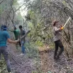 Ancient Mayan City Minanbe Discovered Deep in the Mexican Jungle