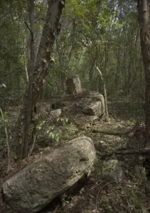 Ancient Mayan City Minanbe Discovered Deep in the Mexican Jungle