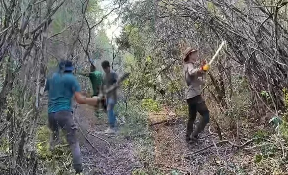 Ancient Mayan City Minanbe Discovered Deep in the Mexican Jungle