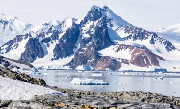 World beneath Antarctica reveals 60 million fish nests