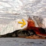 Scientists Finally Explain Antarctica's Blood Falls Mystery