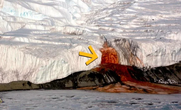 Scientists Finally Explain Antarctica's Blood Falls Mystery