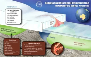 Scientists Finally Explain Antarctica's Blood Falls Mystery