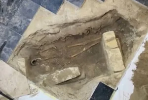 The Latest Findings Raise New Questions About d'Artagnan's Remains