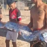 Harbinger of Disaster: “Doomsday Fish” Washed Ashore