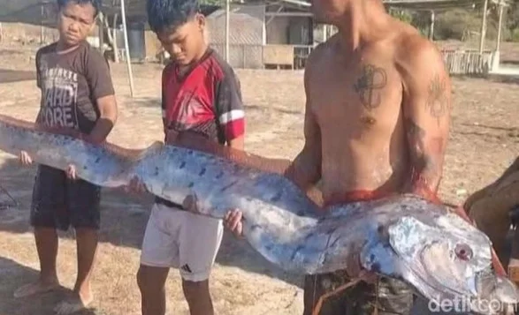 Harbinger of Disaster: “Doomsday Fish” Washed Ashore