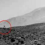 Strange jellyfish-like figure spotted in archived NASA photo from Mars