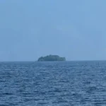A Mysterious Floating Island Has Appeared in a Canadian Lake