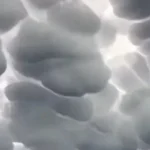 Strange Natural Phenomenon Turns Argentina's Sky Into “Snow drifts”