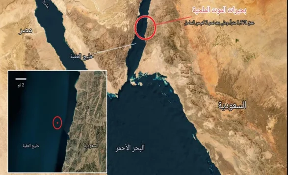 A Deadly Lake in the Red Sea is Killing Marine Life